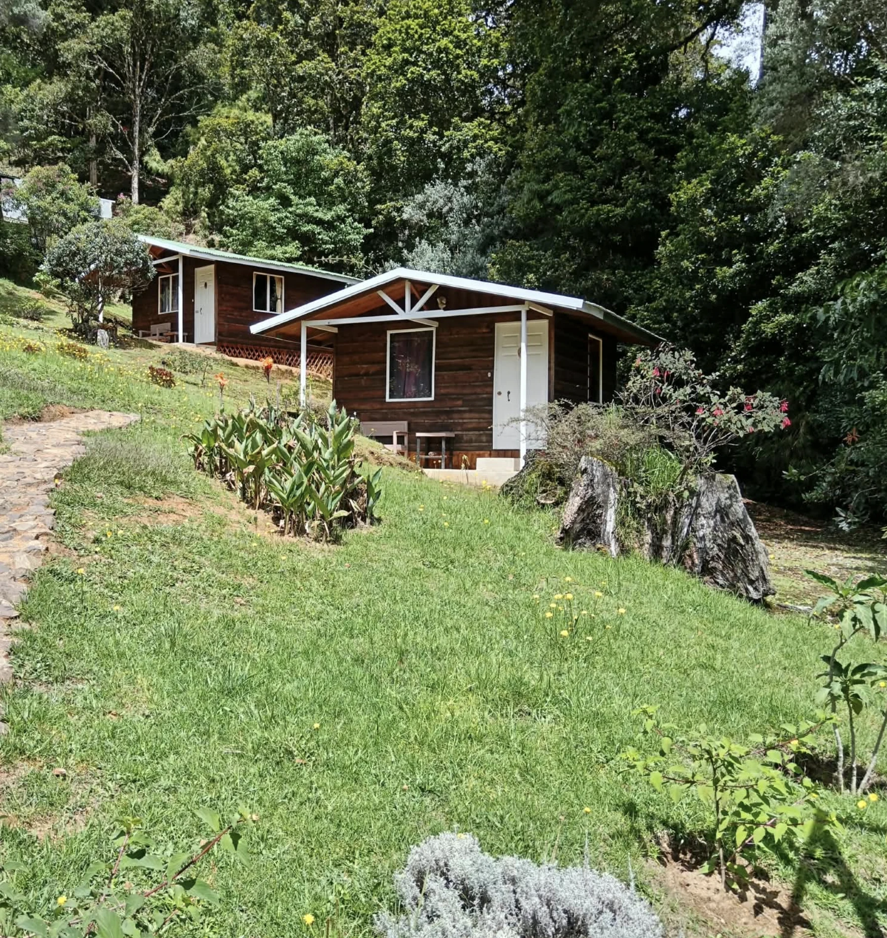 Renovated wooden lodges with covered porches in San Gerardo de Dota