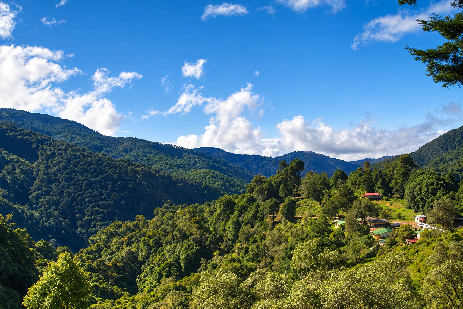 The forested mountains of San Gerardo de Dota