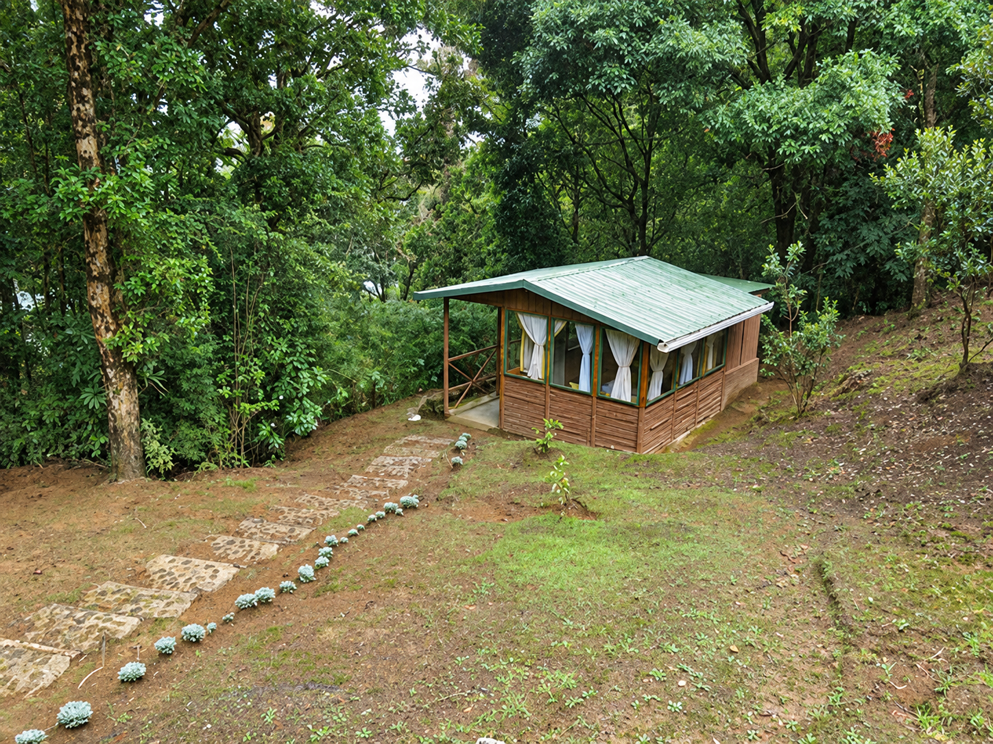 A rustic cabin surrounded by forest