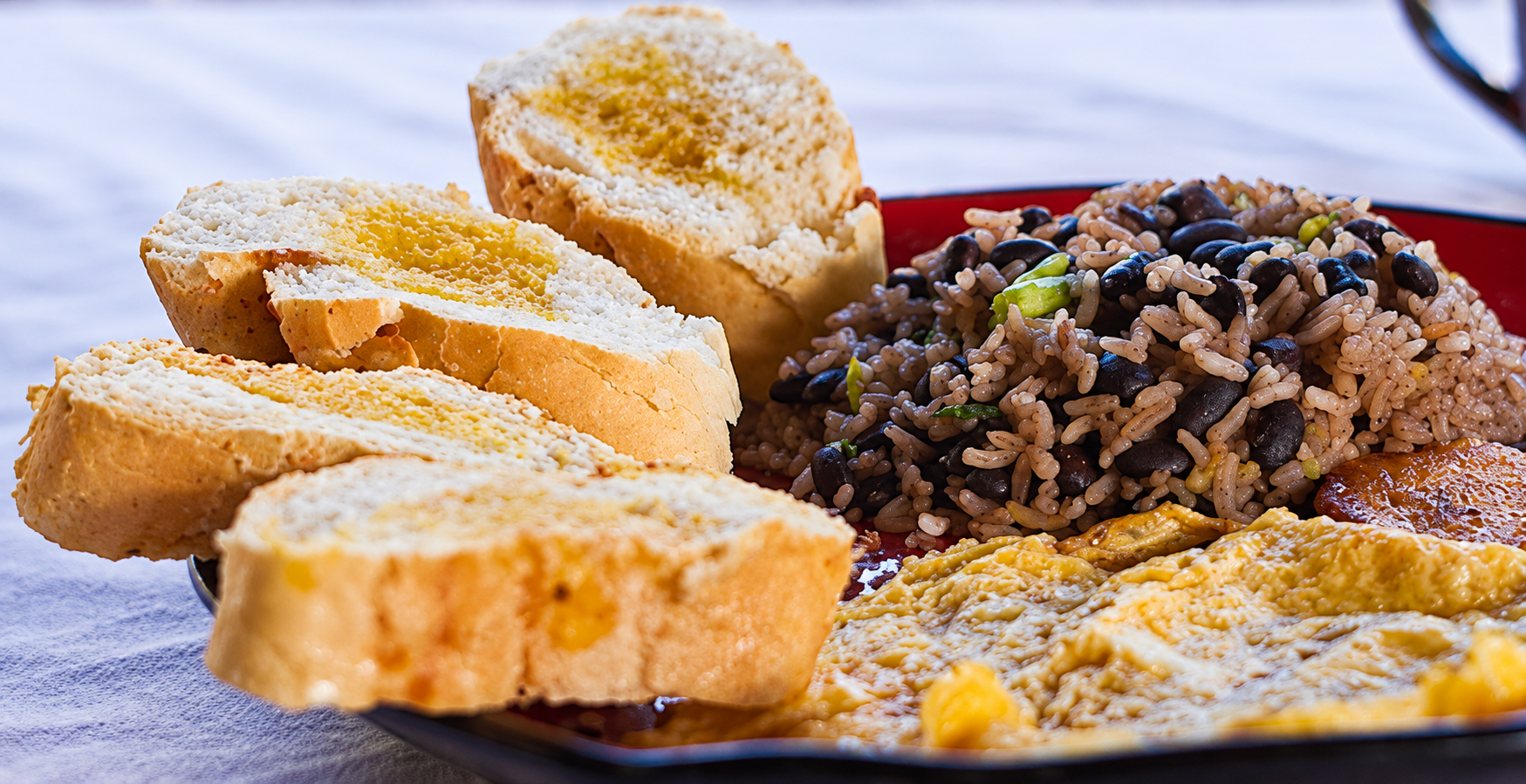 A plate of traditional Costa Rican food